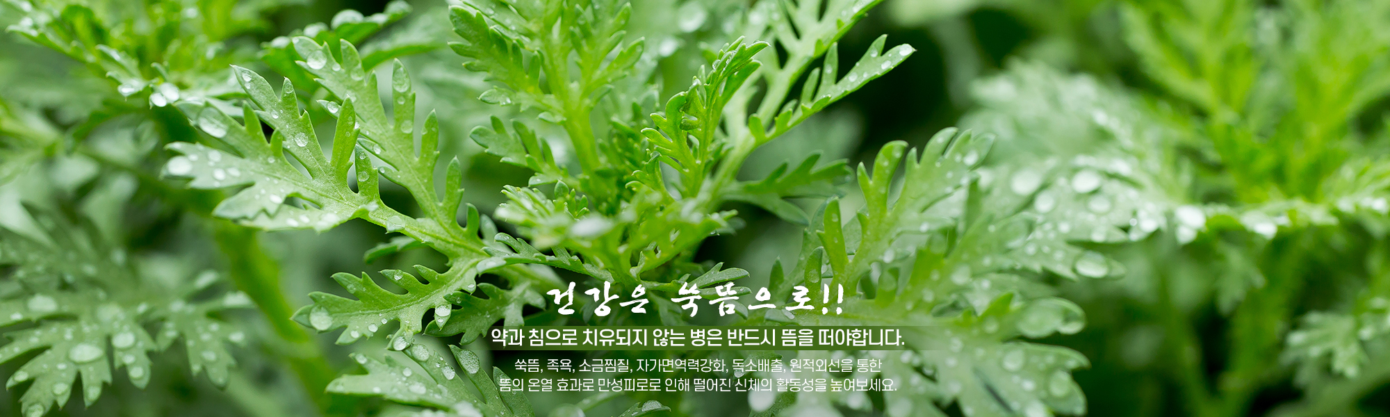 오행쑥뜸방 신천점_캐러셀pc