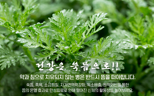 오행쑥뜸방 신천점_캐러셀m