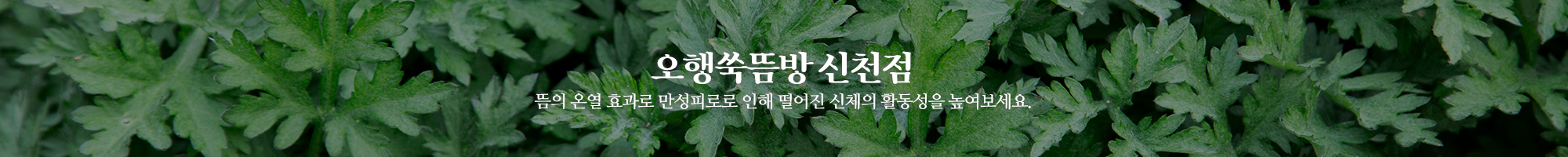 오행쑥뜸방 신천점_이미지pc